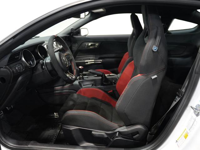 Photo of 2019 WHITE Ford Shelby GT350R