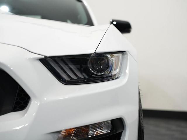 Photo of 2019 WHITE Ford Shelby GT350R