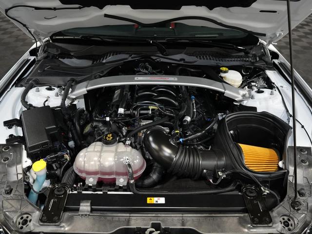 Photo of 2019 WHITE Ford Shelby GT350R