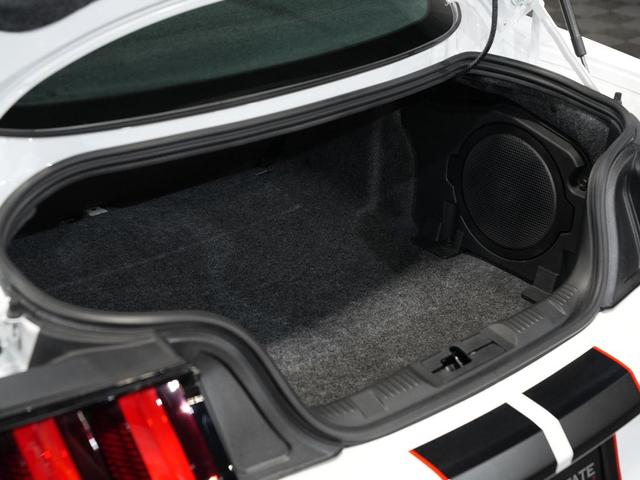 Photo of 2019 WHITE Ford Shelby GT350R