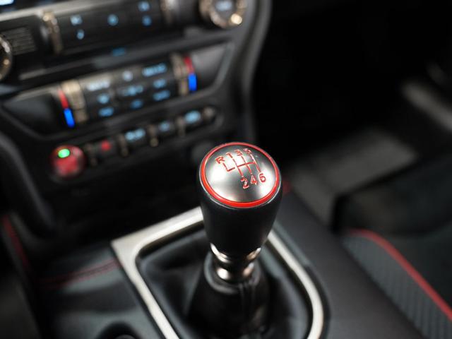 Photo of 2019 WHITE Ford Shelby GT350R