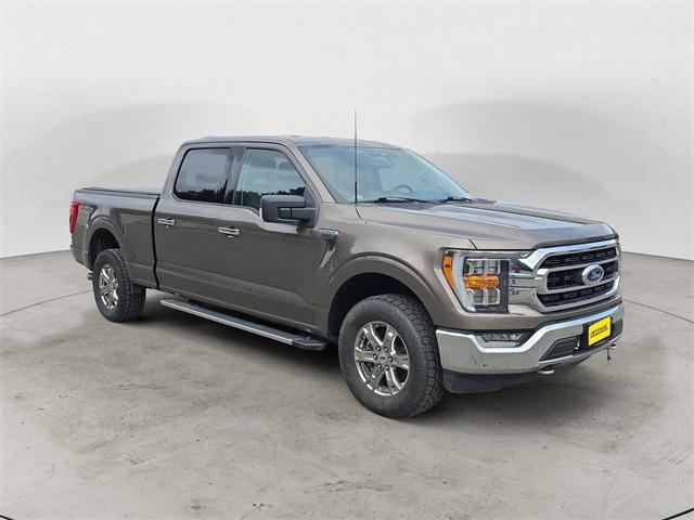 Photo of 2021 Stone Gray Ford F-150