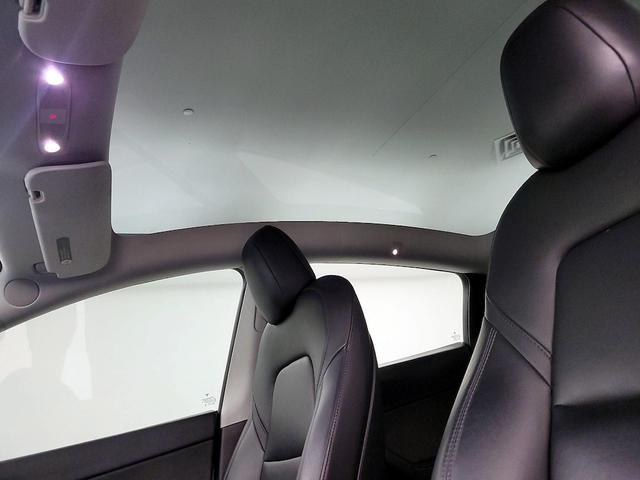 Photo of 2021 White Tesla Model Y