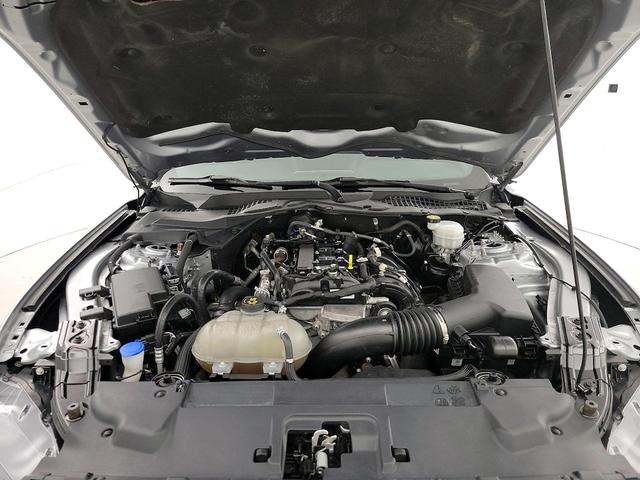 Photo of 2022 Silver Ford Mustang