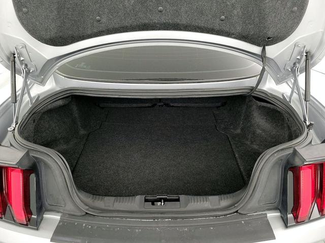 Photo of 2022 Silver Ford Mustang