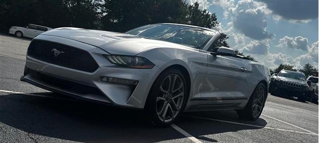 2019 Ford Mustang