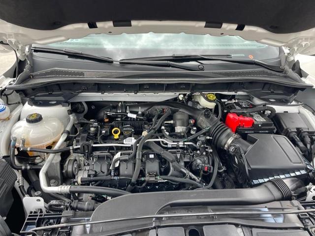 Photo of 2022 White Ford Escape