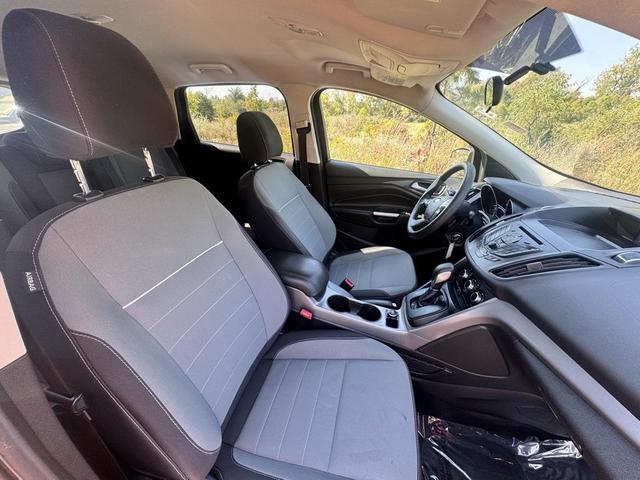 Photo of 2014 Ruby Red Tinted Clearcoat Ford Escape