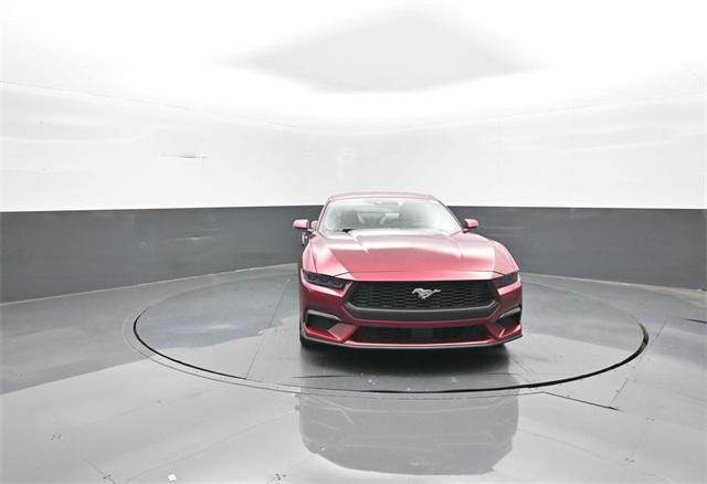 Photo of 2025 Magenta Ford Mustang