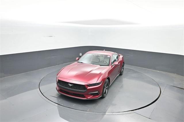 Photo of 2025 Magenta Ford Mustang