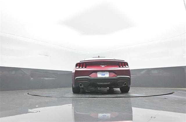 Photo of 2025 Magenta Ford Mustang