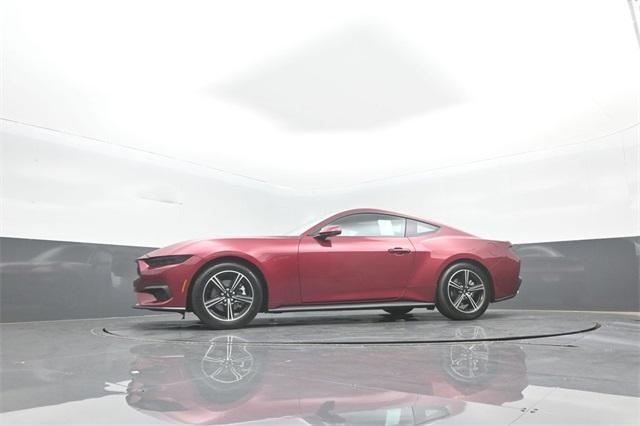 Photo of 2025 Magenta Ford Mustang