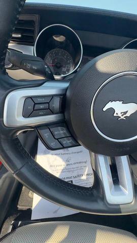 Photo of 2023 Race Red Ford Mustang