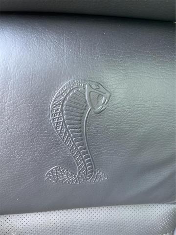 Photo of 2009 Performance White Clearcoat Ford Shelby GT500
