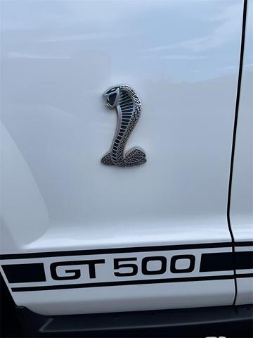 Photo of 2009 Performance White Clearcoat Ford Shelby GT500