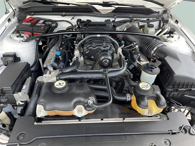 Photo of 2009 Performance White Clearcoat Ford Shelby GT500