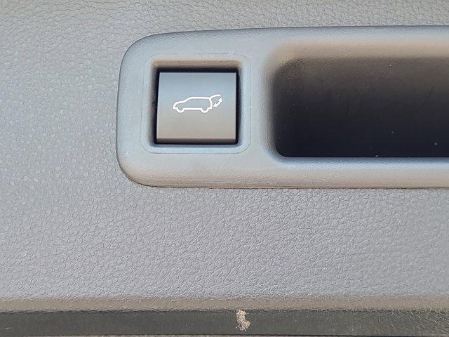Photo of 2024 Moon Dust Toyota Highlander
