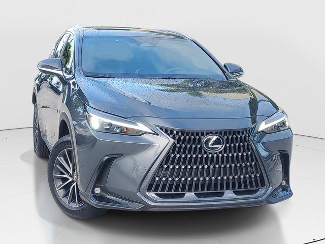 Photo of 2023 Cloudburst Gray Lexus NX 350