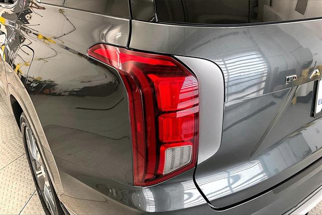 Photo of 2021 Rainforest Hyundai PALISADE
