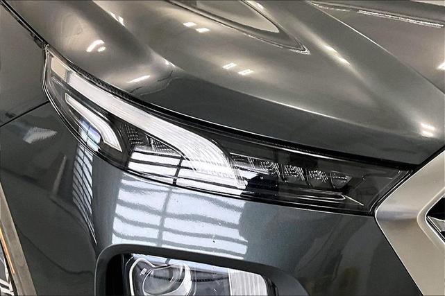 Photo of 2021 Rainforest Hyundai PALISADE