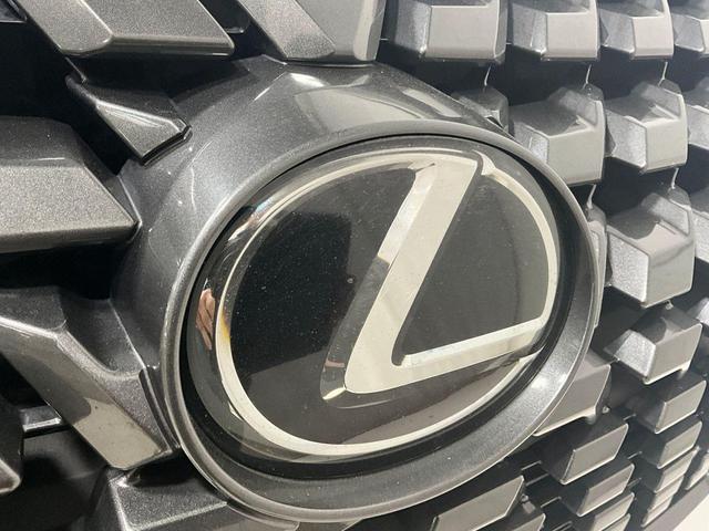 Photo of 2020 Starfire Pearl Lexus GX 460