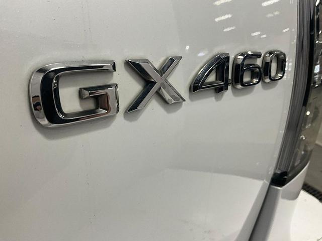 Photo of 2020 Starfire Pearl Lexus GX 460