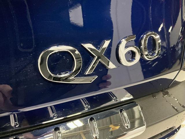 Photo of 2023 Grand Blue INFINITI QX60