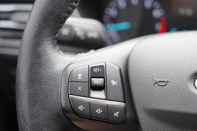 Photo of 2020 Magnetic Ford Escape