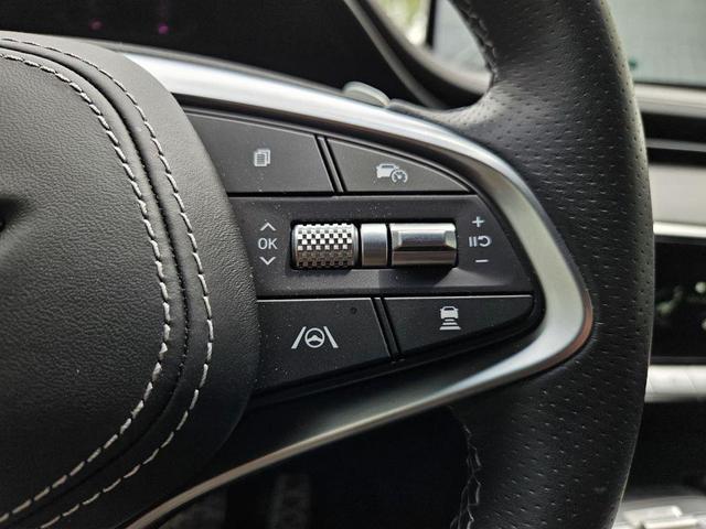 Photo of 2025 Vik Black Genesis GV70