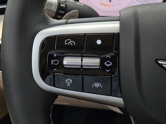 Photo of 2026 Vik Black Genesis GV70
