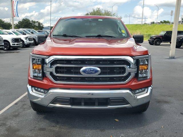 Photo of 2023 HOT PEPPER RED MET TINTD CC Ford F-150