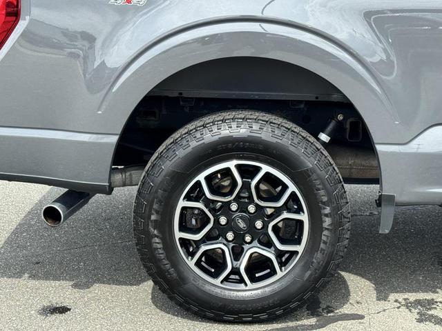 Photo of 2021 Lead Foot Ford F-150