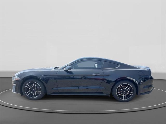 Photo of 2023 Shadow Black Ford Mustang