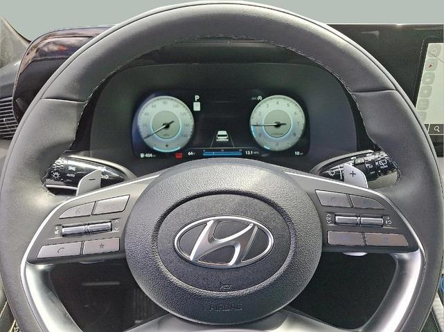 Photo of 2025 Silver Hyundai PALISADE