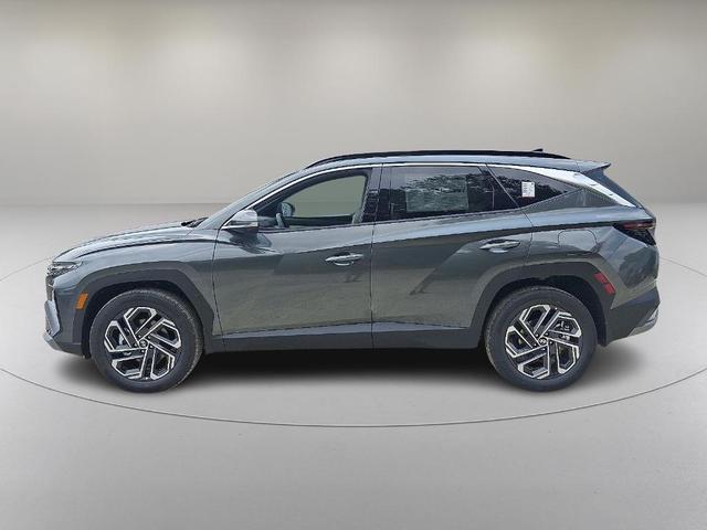 Photo of 2025 Amazon Gray Hyundai TUCSON Hybrid