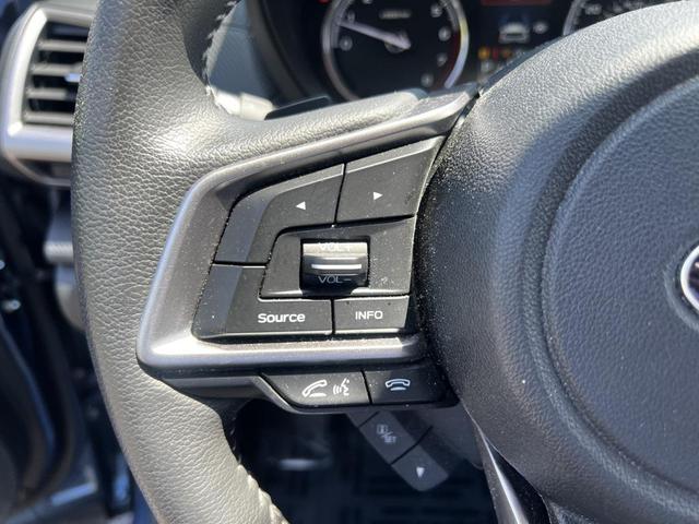 Photo of 2021 Horizon Blue Pearl Subaru Forester