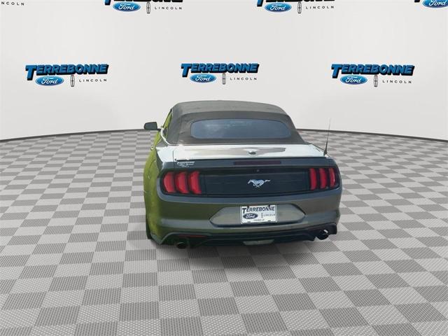 Photo of 2018 Magnetic Ford Mustang