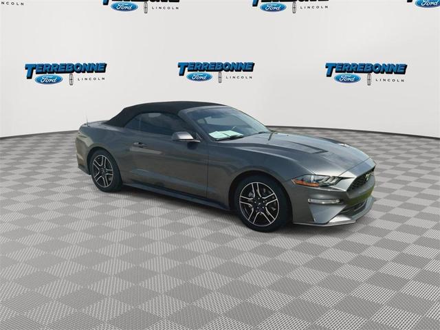 Photo of 2018 Magnetic Ford Mustang