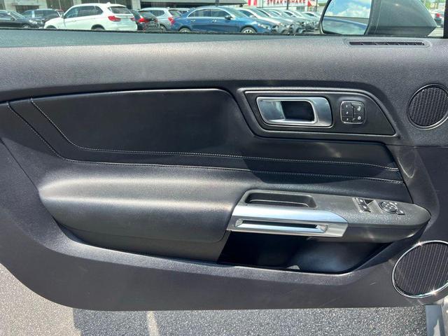 Photo of 2019 Magnetic Ford Mustang