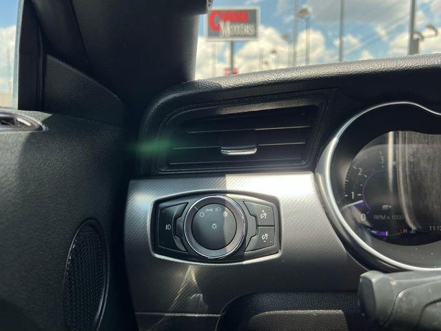 Photo of 2019 Magnetic Ford Mustang