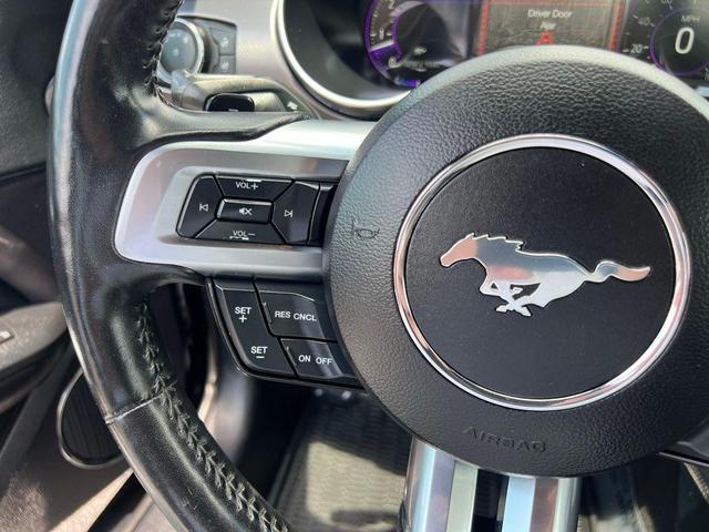 Photo of 2019 Magnetic Ford Mustang