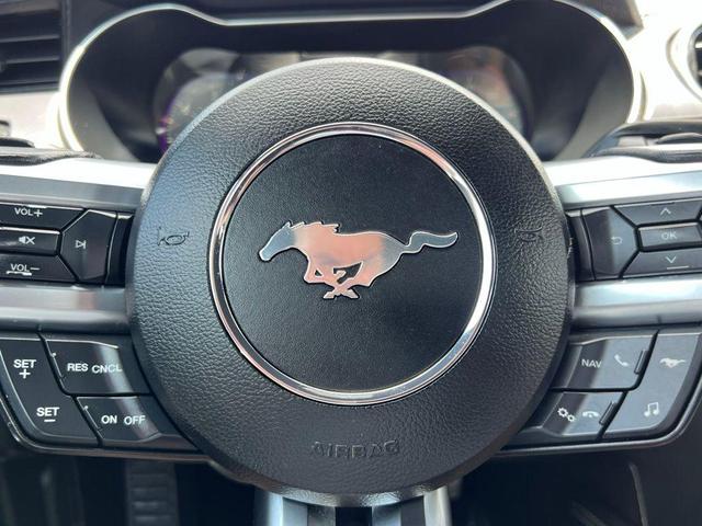 Photo of 2019 Magnetic Ford Mustang