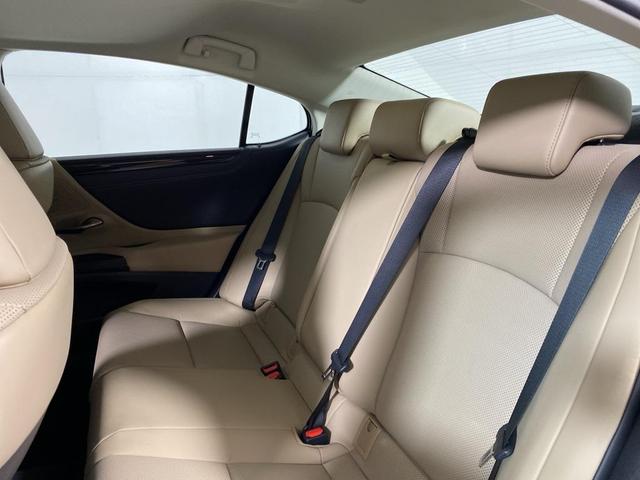 Photo of 2021 Silver Lining Metallic Lexus ES 250