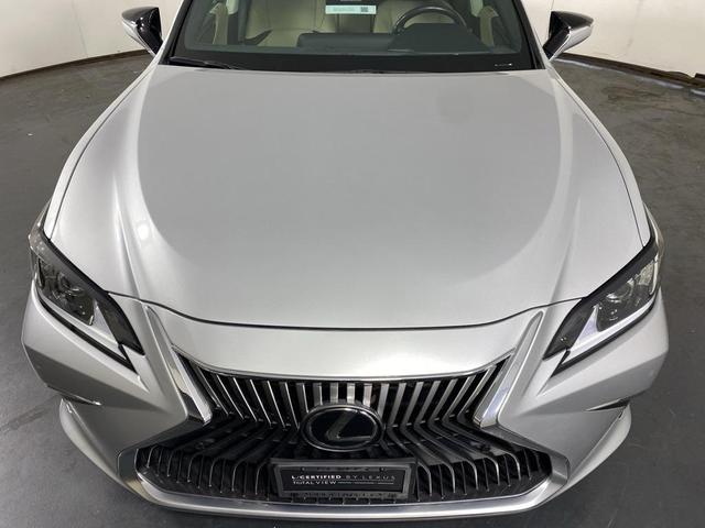 Photo of 2021 Silver Lining Metallic Lexus ES 250