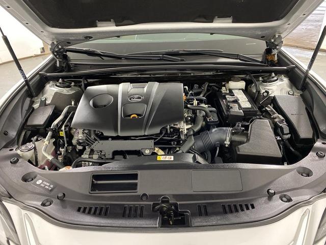 Photo of 2021 Silver Lining Metallic Lexus ES 250