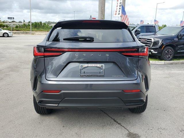 Photo of 2023 Cloudburst Gray Lexus NX 250