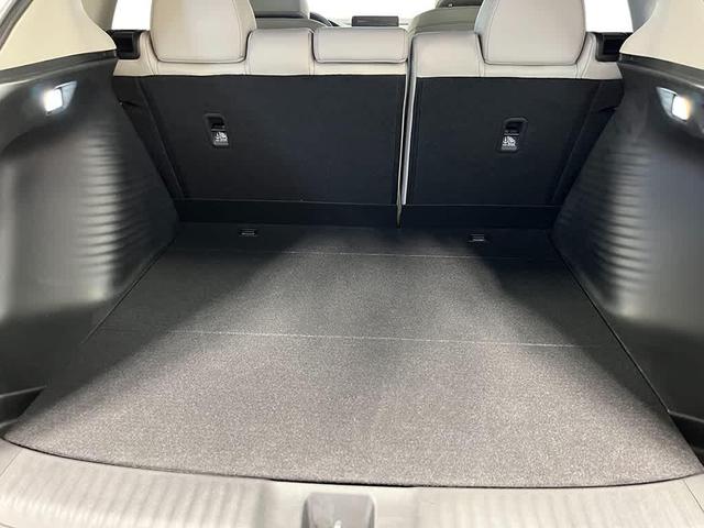 Photo of 2026 Nordic Forest Pearl Honda HR-V