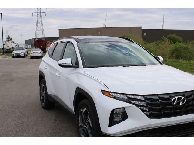 Photo of 2024 White Pearl Hyundai TUCSON Hybrid