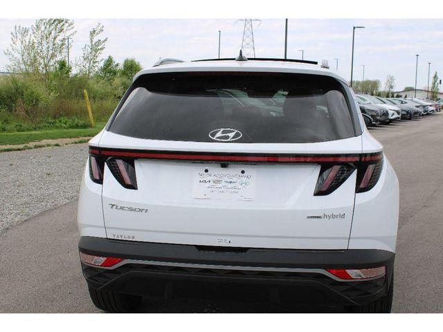 Photo of 2024 White Pearl Hyundai TUCSON Hybrid