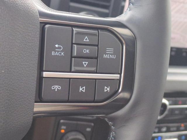 Photo of 2025 Black Metallic Ford F-350